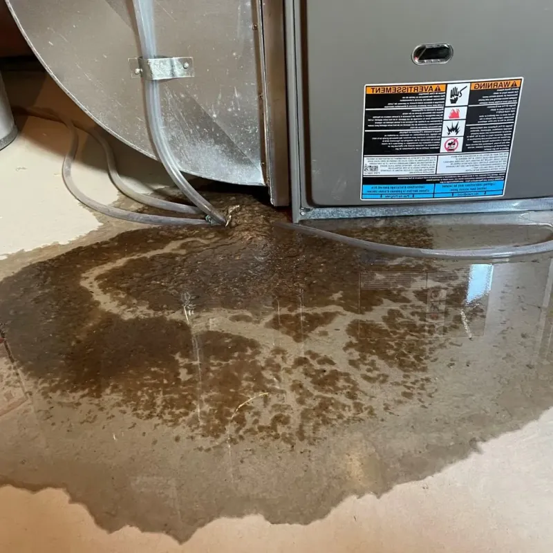 Pipe Burst and Leak Restoration in El Negro, PR