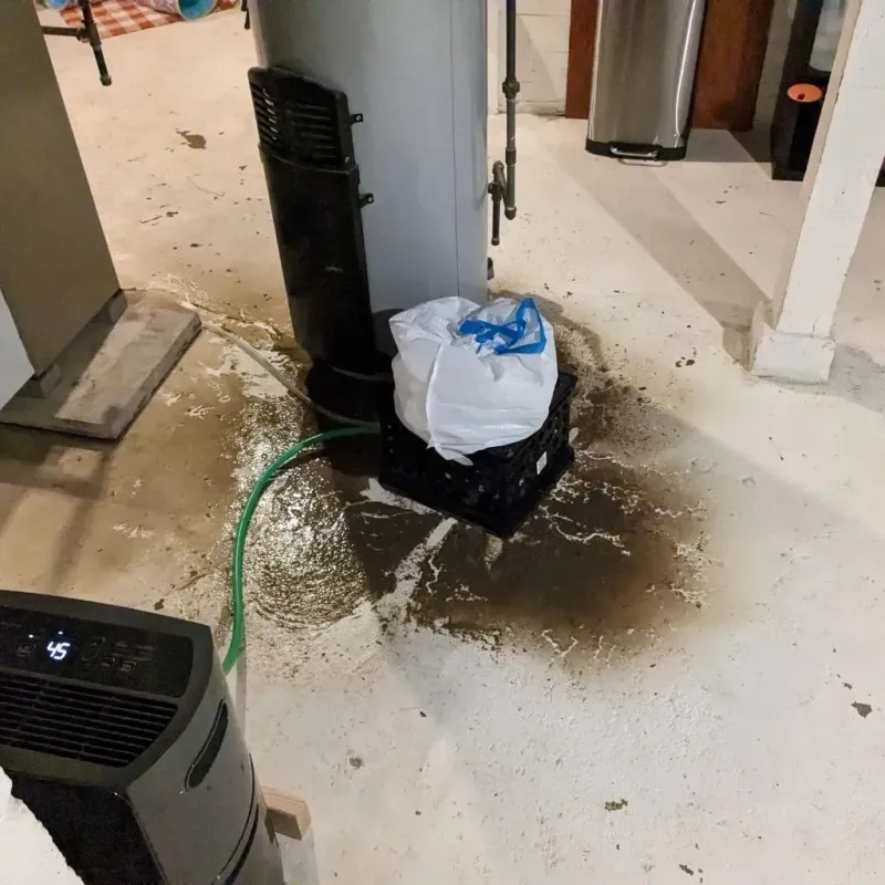 Sewage Backup Cleanup Service in El Negro, PR